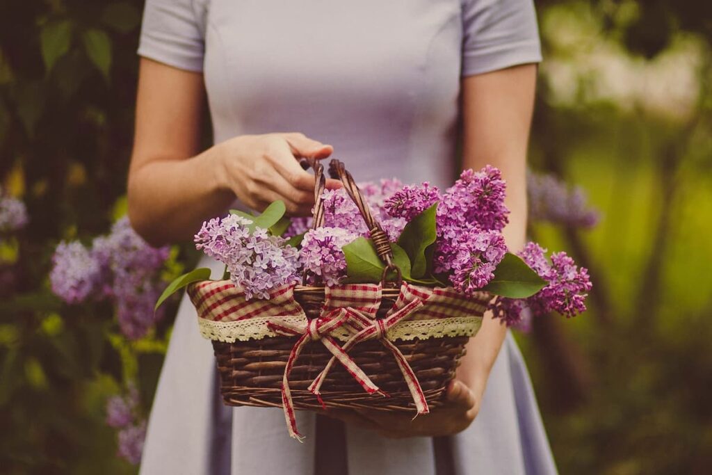 Woman holding basket of purple lilacs.